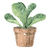 image (1).png